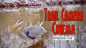 Trail Camera Cinema - Episode Five