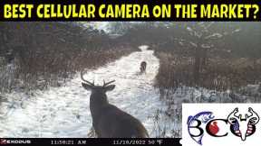 exodus render cellular trail camera after season review | bco review |