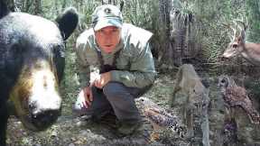 Tim Harrell - Swamp Trail Camera Pickup