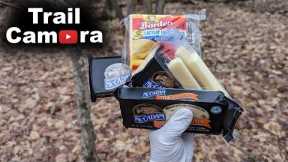 Trail Camera - Lots of Cheese Left in the Woods!! - Wildlife Reacts
