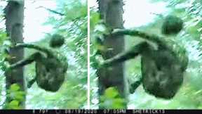 These Trail Cam Footages SHOCKED The World!