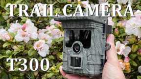 Campark T300 / TC02 Trail Camera - Full In-Depth Review