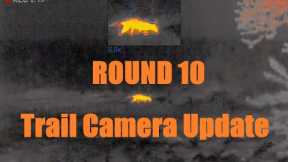 Trail camera update from round 10.