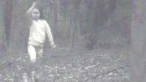 TRAIL CAM CAPTURES A MYSTERY THAT'S FINALLY SOLVED.