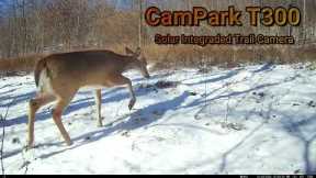 Trail Cam Tuesday - March 28, 2023