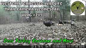 Western Tennessee Wildlife Trail Camera Wednesday - Vlog #249