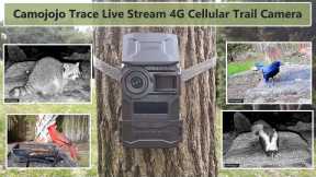 Camojojo Trace 4G Cellular Live View Trail Camera Test and Review