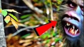 Intense Trail Cam Footage That No One Saw Coming