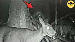 5 Scariest Photos Ever Caught on Trail Camera.