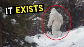 GIGANTIC Creature Lurking On Trail Camera