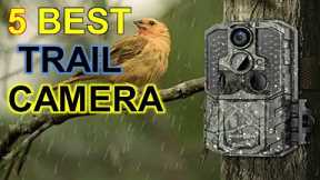 ✅ TOP 5 Best Trail Camera, Best Trail Camera reviews in 2023