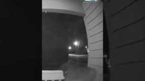 Is He a Zombie? 🧟 (Caught on Ring Doorbell)