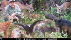 Tim Harrell - Browning Swamp Trail Camera Pickup