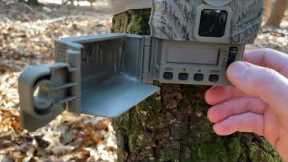 $40 TRAIL CAM REVIEW AND SETUP - Stealth Cam Browtine 16