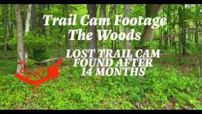Found My Lost Trail Cam photos only after 14 months (read description)