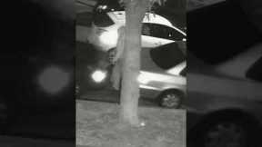 CAR THIEVES CAUGHT ON HOME SECURITY CAMERA