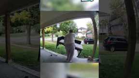 Grandma Takes Porch Furniture (Caught on Ring Doorbell)