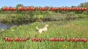 Trail Cam Adventures – “The River” Part 1 ~ MULTIPLE SPECIES!