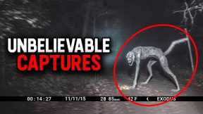 Trail Cam Footage That Will SHOCK You
