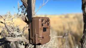 Moultrie Mobile Edge Cellular Trail Camera Review