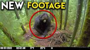 UNSEEN Trail Cam Discoveries That Will Leave You Breathless