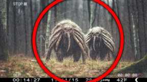 You WON'T Believe What This Trail Cam Caught