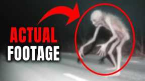 Unbelievable Encounter Caught on Trail Cam: You'll Never Believe What Happened Next!