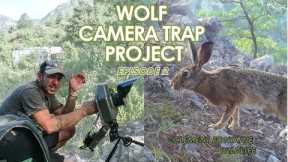 WOLF CAMERA TRAP Project (episode 2) :  SURPRISE on the trail cam and camera trap SET UP