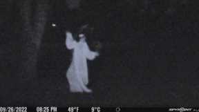 Most Disturbing Things Ever Caught on Trail Cam 2023