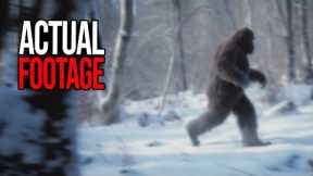 Wow Trail Cam Footage That Broke YouTube