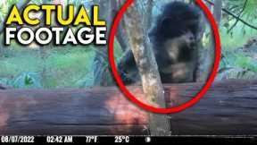 Skunkape Like Creature Captured on Trail Camera in Florida