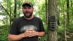 How to Use Instant Mode and On-Demand Requests from SPYPOINT | Trail Cameras | SPYPOINT