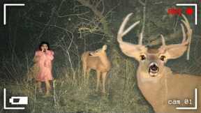 Trail Cam Caught a Moment That Can’t Go Unnoticed