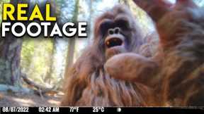 UNCANNY Trail Cam Footage that Will Shock You