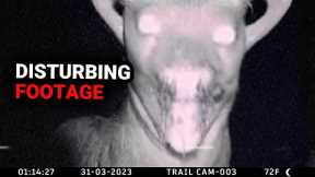 Most Disturbing Trail Cam Footage No One Expected (2023)