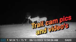 Deer trail camera, second throw and grow food plot #hunting #trailcam #deerhunting
