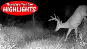 The Neglected Camera at Dry Creek Crossing Scores BIG: Thursday's Trail Cam Highlights 8.31.23