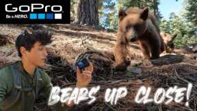 BEARS UP CLOSE! GOPRO Remote Camera System : Trail Cam Tuesday Episode 2