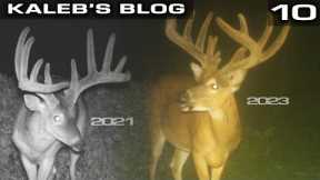 MY DREAM DEER, Trail Camera Strategy For Lucky | Kaleb's Blog
