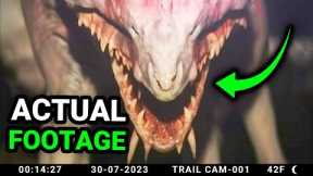 Mega Compilation of Disturbing Creatures Caught On Trail Cam.
