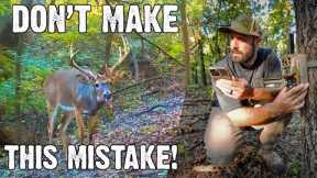 Don't make this mistake! Scouting before you hunt - Trail Camera Tips