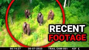 New Disturbing Trail Cam Footage No One Ever Reviewed.