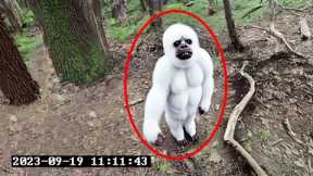 15 SCARIEST Trail Cam Videos You'll Ever See..