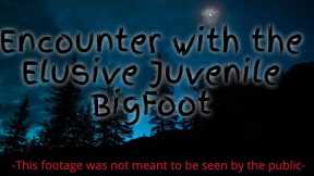The Night Hunt: Tracking the Elusive Juvenile Big Foot / Read description