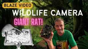 Giant RAT Is Freaking Me Out! Blaze Video Trail Cam