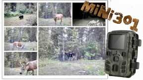 MiNi301 Trail Camera Review: 2023 Best Budget Option 💯
