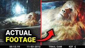 Trail Cam Footage The Internet Can't Seem To Explain