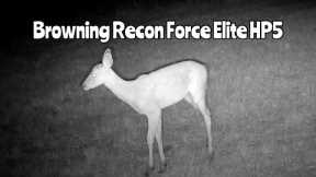 Browning Recon Force Elite HP5 Trail Cam: July 18-31, 2023