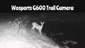 Wosports G600 Trail Camera: Aug. 21- Sept. 13, 2023
