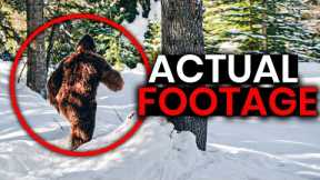 Bigfoot Caught on Trailcam Footage | Trail Cams